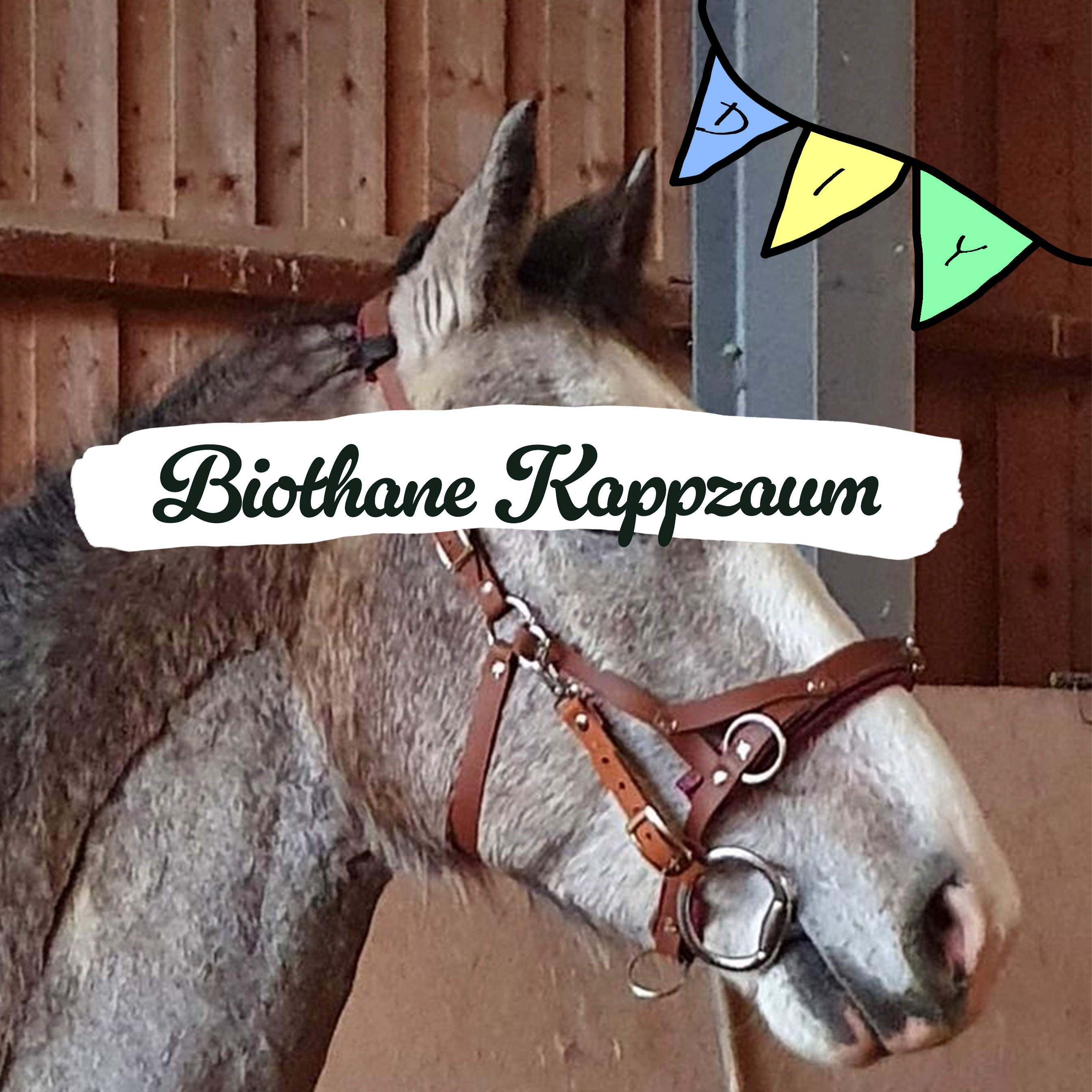 DIY Biothane© Kappzaum mit Bithangern und&nbsp;Führring