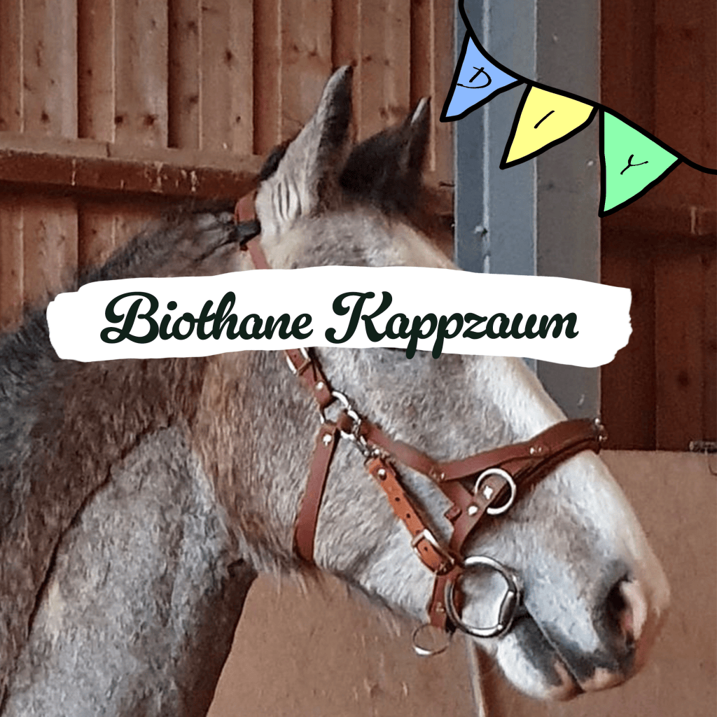 DIY Biothane© Kappzaum mit Bithangern und Führring