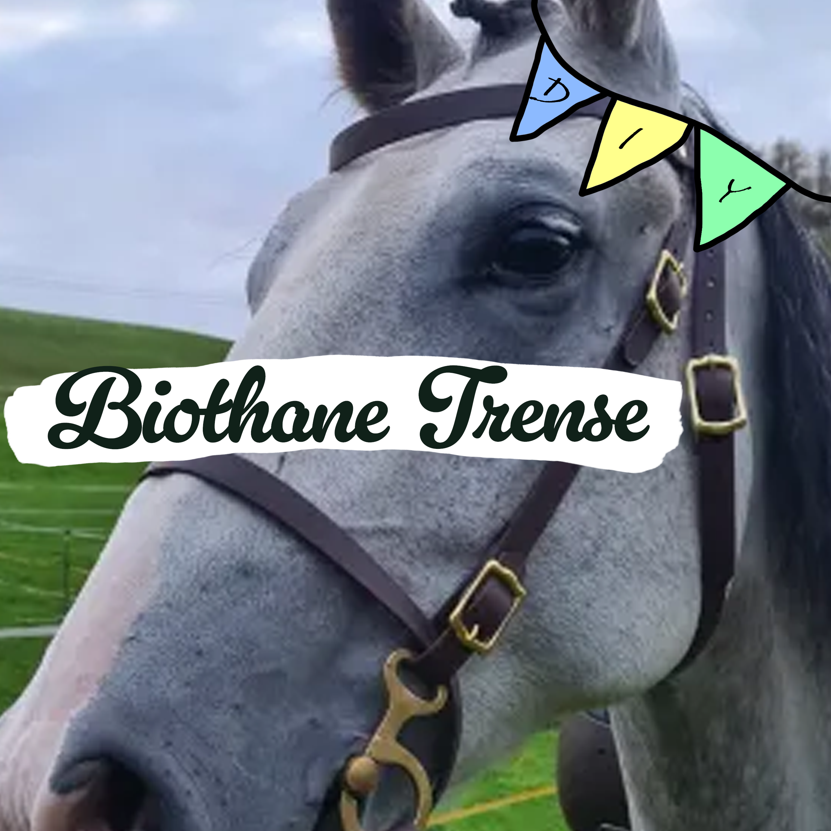 DIY Biothane© Trense