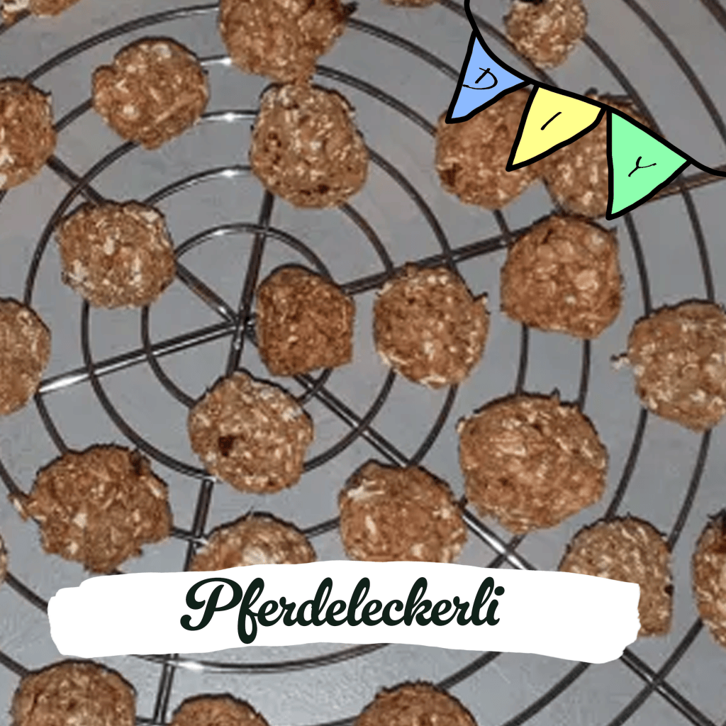 Pferdeleckerli selbst gebacken