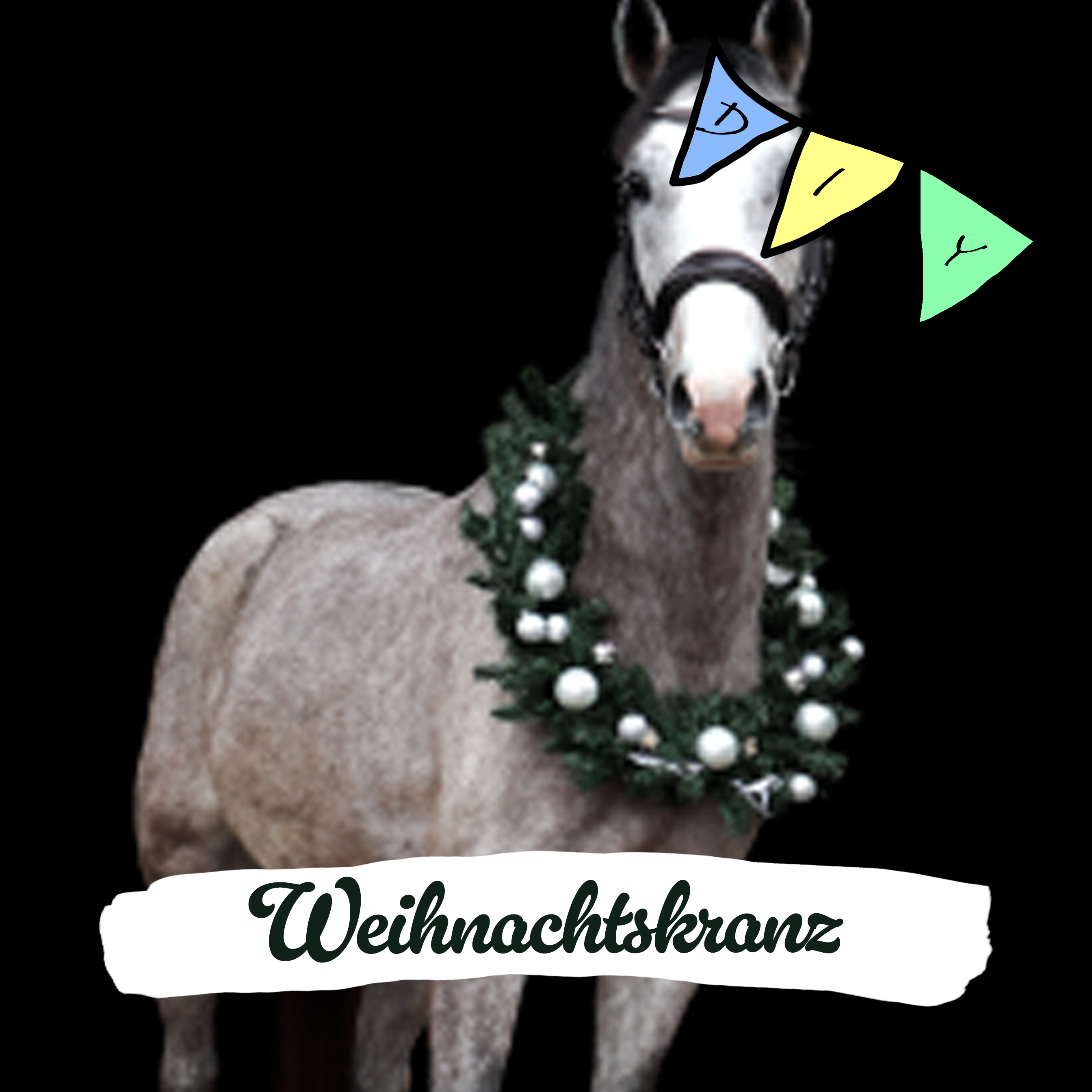 Weihnachtskranz für Fotoshootings