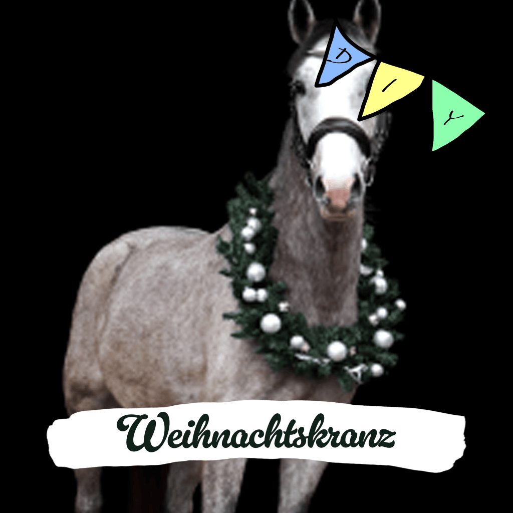 Weihnachtskranz für Fotoshootings
