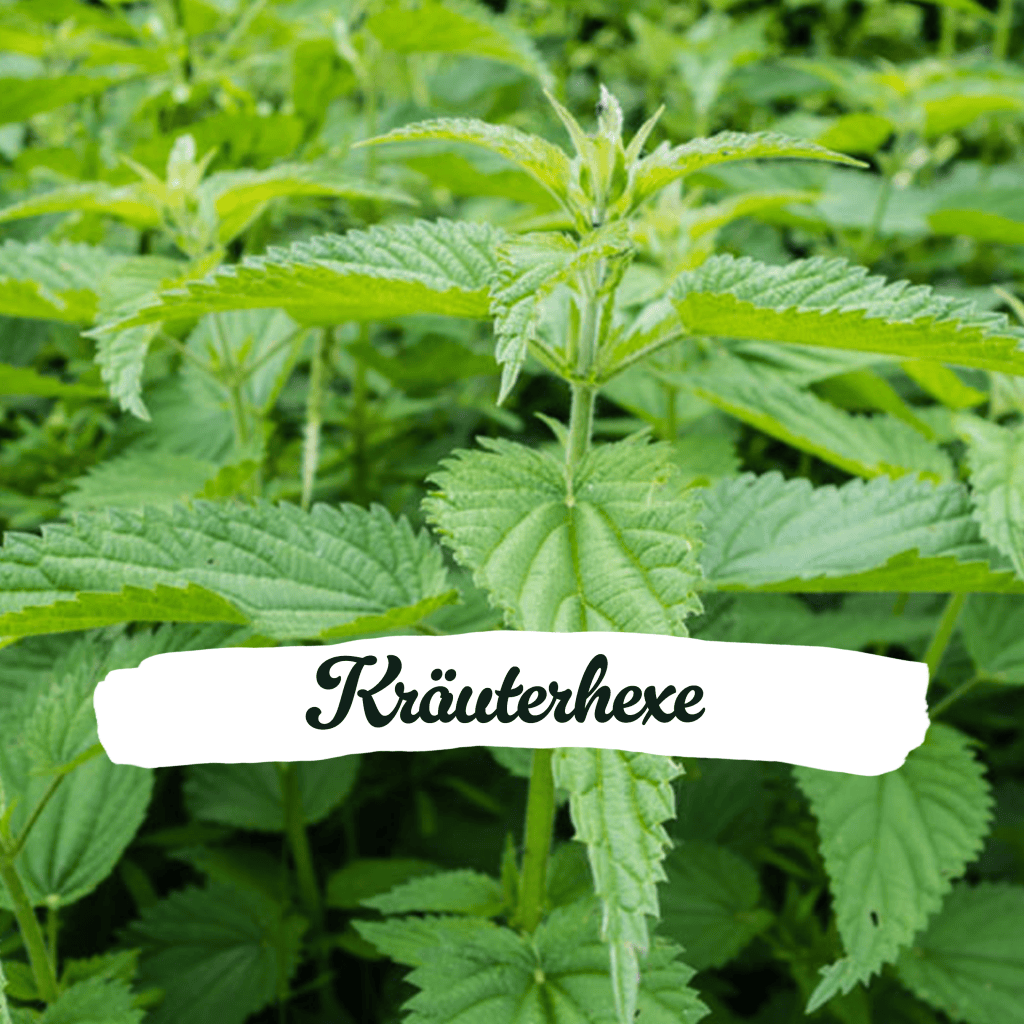 Kräuterhexe
