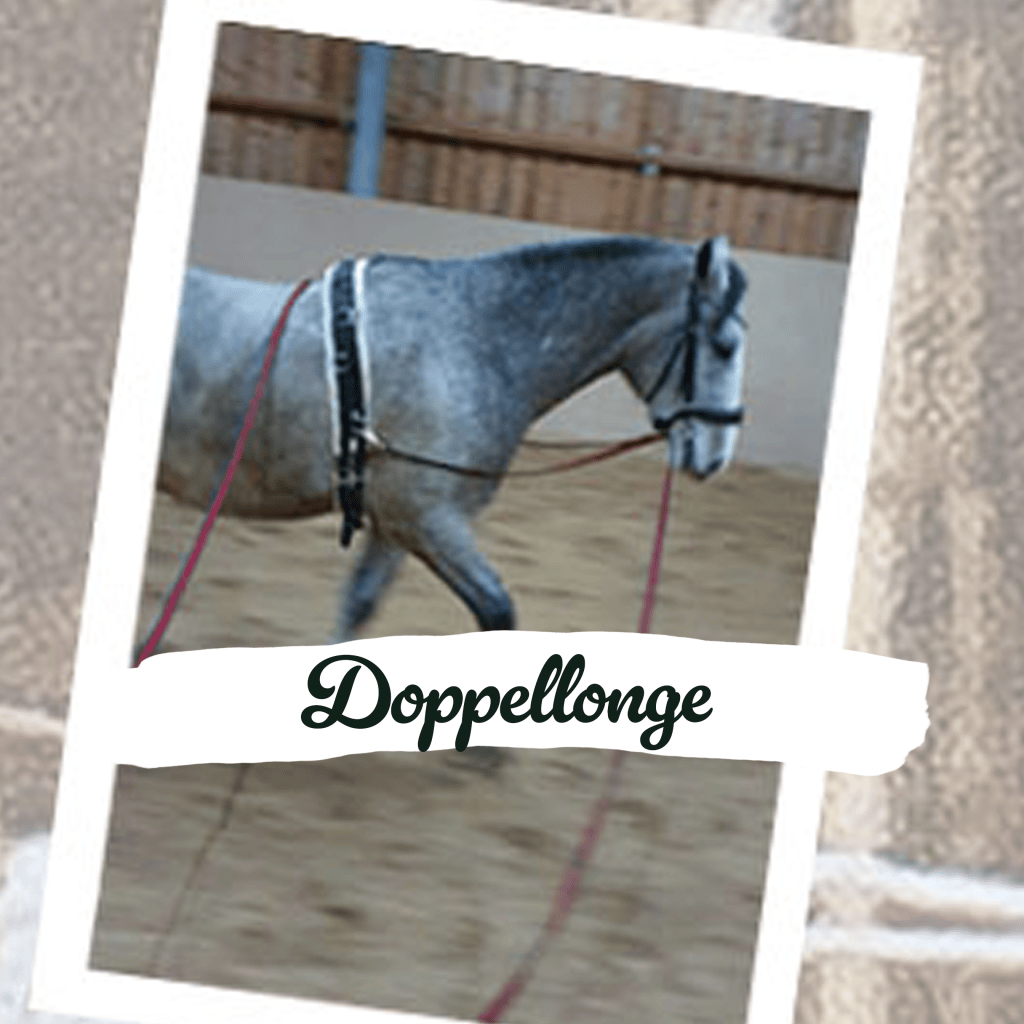 Doppellonge für Anfänger